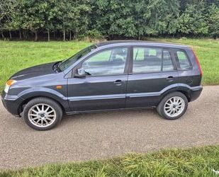 Ford Fusion Gebrauchtwagen