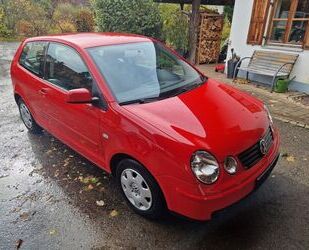 VW Polo Gebrauchtwagen