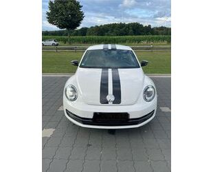 VW Beetle Gebrauchtwagen