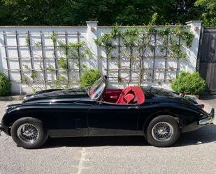 Jaguar XK Gebrauchtwagen