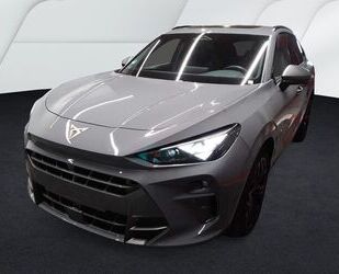 Cupra Terramar Gebrauchtwagen