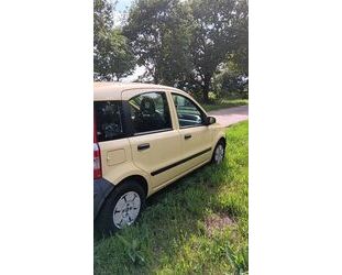 Fiat Panda Gebrauchtwagen