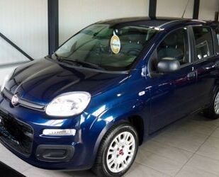 Fiat New Panda Gebrauchtwagen