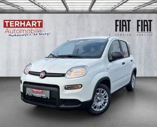 Fiat Panda Gebrauchtwagen