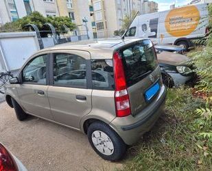 Fiat Panda Gebrauchtwagen