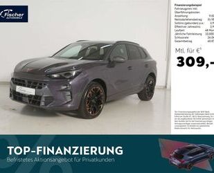 Cupra Terramar Gebrauchtwagen