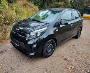 Kia Picanto Gebrauchtwagen