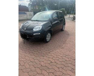 Fiat New Panda Gebrauchtwagen