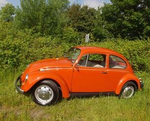 VW Käfer Gebrauchtwagen