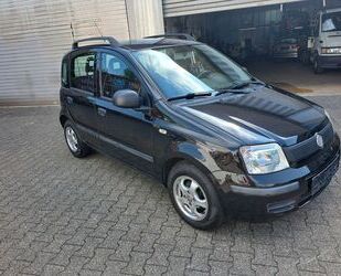 Fiat Panda Gebrauchtwagen