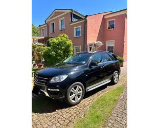 Mercedes-Benz ML 350 Gebrauchtwagen