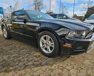 Ford Mustang Gebrauchtwagen
