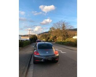 VW Beetle Gebrauchtwagen