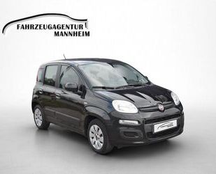 Fiat Panda Gebrauchtwagen