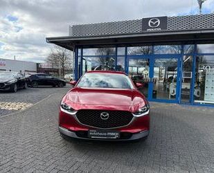 Mazda CX-30 Gebrauchtwagen