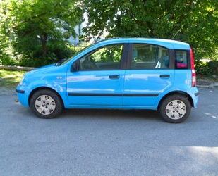 Fiat Panda Gebrauchtwagen