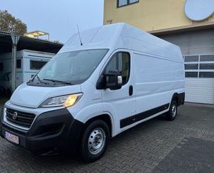 Fiat Ducato Gebrauchtwagen