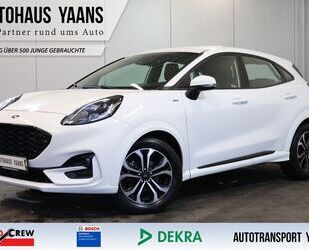 Ford Puma Gebrauchtwagen