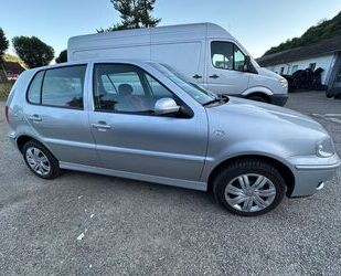 VW Polo Gebrauchtwagen