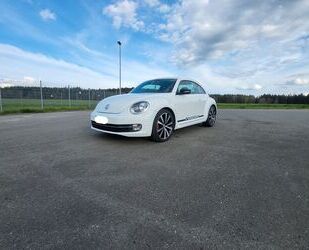 VW Beetle Gebrauchtwagen