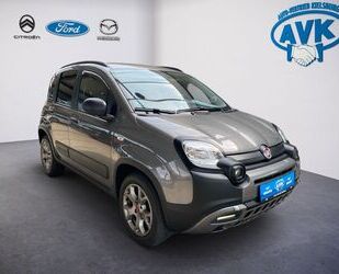 Fiat Panda Gebrauchtwagen