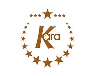 Dacia Spring Gebrauchtwagen