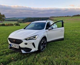 Cupra Formentor Gebrauchtwagen