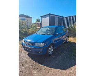 VW Polo Gebrauchtwagen