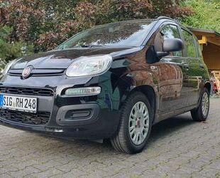 Fiat Panda Gebrauchtwagen