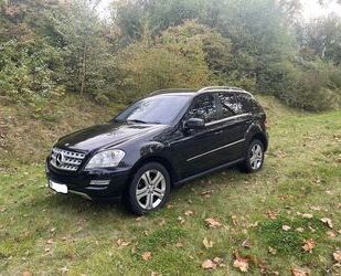 Mercedes-Benz ML 350 Gebrauchtwagen