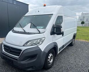 Fiat Ducato Gebrauchtwagen