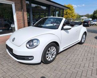VW Beetle Gebrauchtwagen