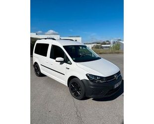 VW Caddy Gebrauchtwagen