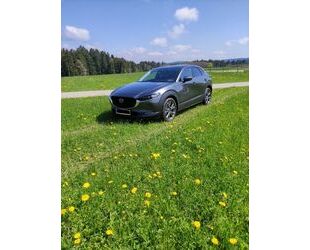 Mazda CX-30 Gebrauchtwagen