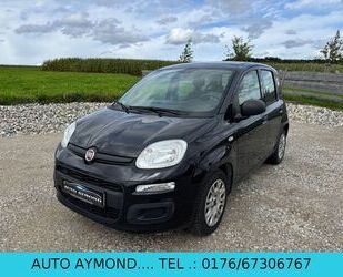 Fiat New Panda Gebrauchtwagen