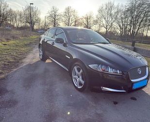Jaguar XF Gebrauchtwagen