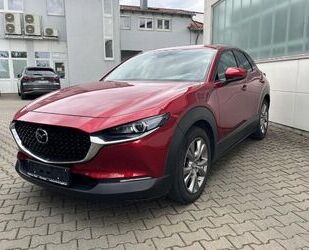 Mazda CX-30 Gebrauchtwagen