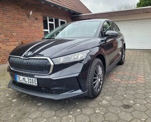 Skoda Enyaq Gebrauchtwagen