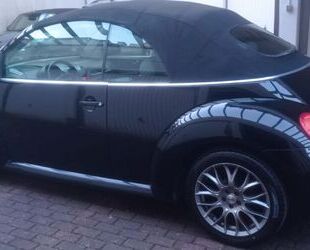 VW Beetle Gebrauchtwagen