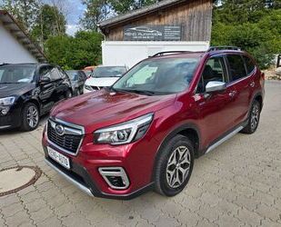 Ford Forester 