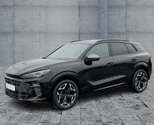 Cupra Terramar Gebrauchtwagen