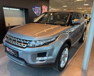 Land Rover Range Rover Evoque Gebrauchtwagen