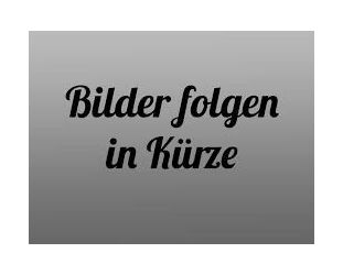 Mazda 3 Gebrauchtwagen