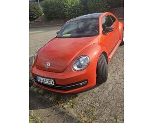 VW Beetle Gebrauchtwagen