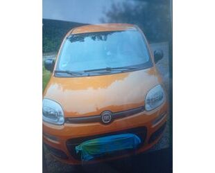 Fiat New Panda Gebrauchtwagen