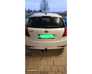 Kia ceed / Ceed Gebrauchtwagen