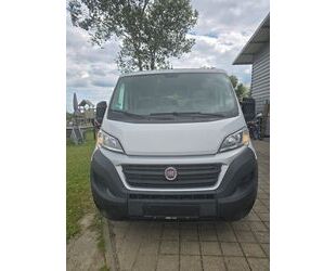 Fiat Ducato Gebrauchtwagen