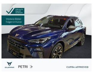 Cupra Terramar Gebrauchtwagen