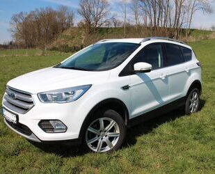 Ford Kuga Gebrauchtwagen