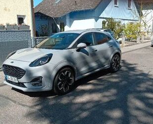 Ford Puma Gebrauchtwagen
